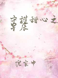 守护甜心之暗夜星辰