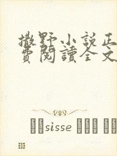 撒野小说正版免费阅读全文无弹窗
