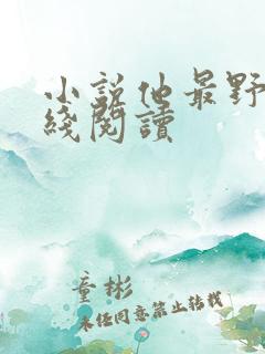 小说他最野了在线阅读