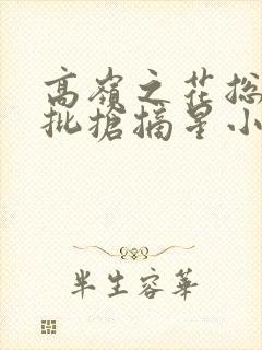 高岭之花总被疯批抢摘星小说阅读