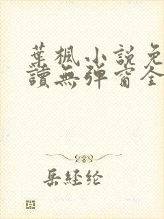 叶枫小说免费阅读无弹窗全文