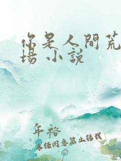 你是人间荒唐一场 小说