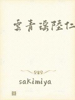 云青瑶陆仁小说