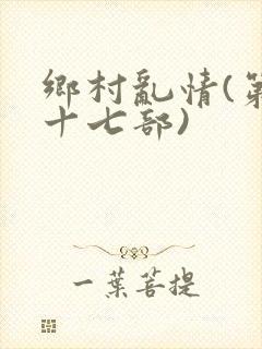 乡村乱情(第二十七部)