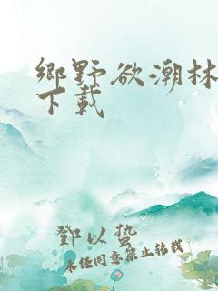 乡野欲潮林天成下载