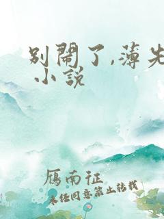 别闹了,薄先生 小说