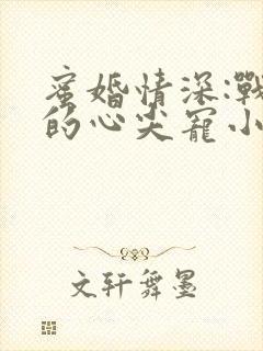 蜜婚情深:战少的心尖宠小说