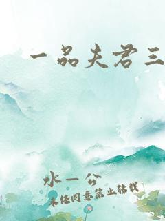 一品夫君三流妻