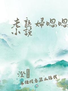 老熟妇嗯嗯啊啊小说