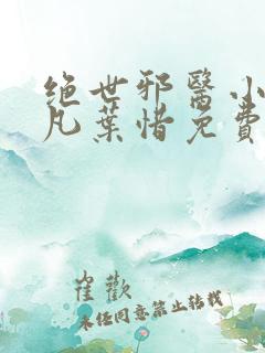 绝世邪医小说林凡叶惜免费阅读全文