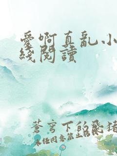 爱啊真乱小说在线阅读