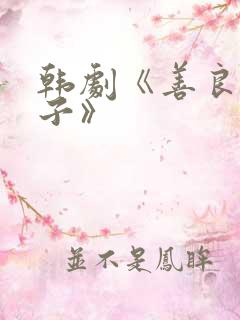 韩剧《善良的妻子》