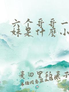 六个哥哥一个妹妹是什么小说