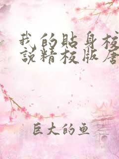 我的贴身校花小说精校版唐宇