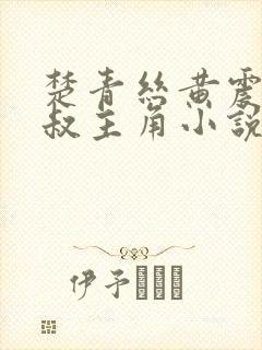楚青丝黄震和陈叔主角小说免费阅读全文