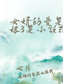 女婿的爱是丈母娘3是小说改编吗