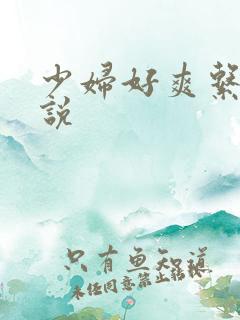 少妇好爽系列小说