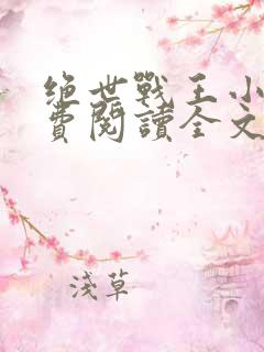 绝世战王小说免费阅读全文