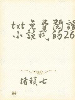 txt免费阅读小说我的26岁女房客