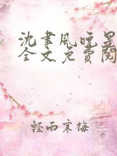 沈聿风晚星小说全文免费阅读