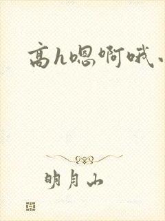 高h嗯啊哦小说
