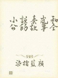 小说秦岚和老公公的故事全文阅读免费