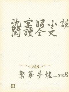 沈宴昭小说免费阅读全文