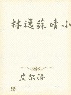 林逸苏晴小说