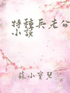 特种兵老公拳交小说