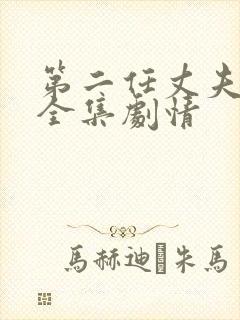 第二任丈夫韩剧全集剧情