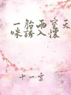 一胎两宝天价妈咪诱入怀