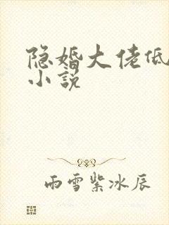 隐婚大佬低调宠小说