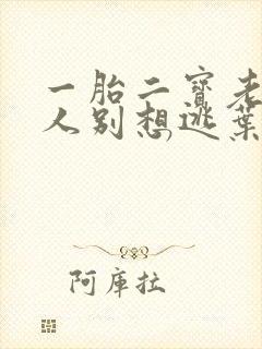 一胎二宝老婆大人别想逃叶南弦沈蔓歌