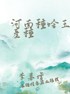 河南种啥玉米高产种