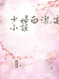 少妇白洁,高义小说