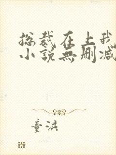 总裁在上我在下小说无删减