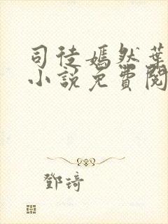司徒嫣然叶凡的小说免费阅读