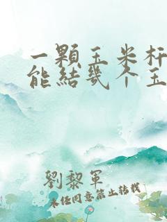 一颗玉米杆子上能结几个玉米