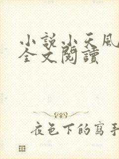 小说小天风流记全文阅读