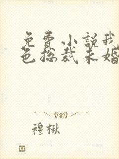 免费小说我的绝色总裁未婚妻