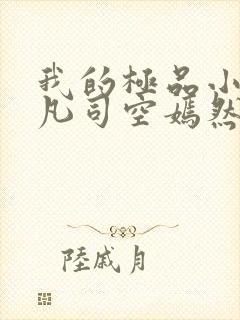 我的极品小姨叶凡司空嫣然