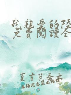 我亲爱的陆先生免费阅读全文