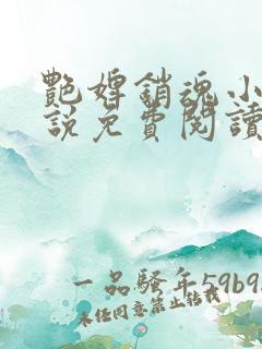 艳婢销魂小桃小说免费阅读