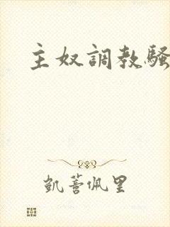主奴调教骚货