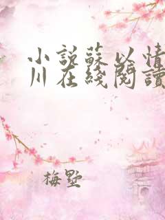 小说苏以情沈聿川在线阅读