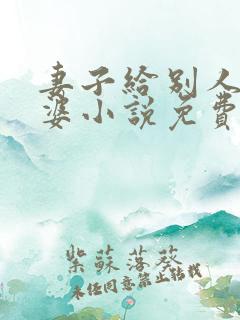 妻子给别人当老婆小说免费阅读