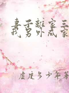 妻子离家三年,我另外成家了全本阅读