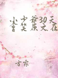 小少爷30天后会笑原文在哪里看