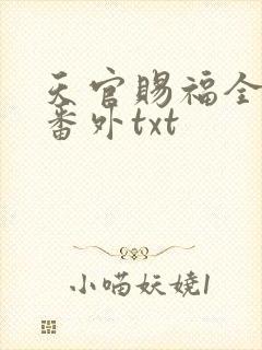 天官赐福全文加番外txt