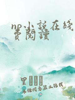 np小说在线免费阅读